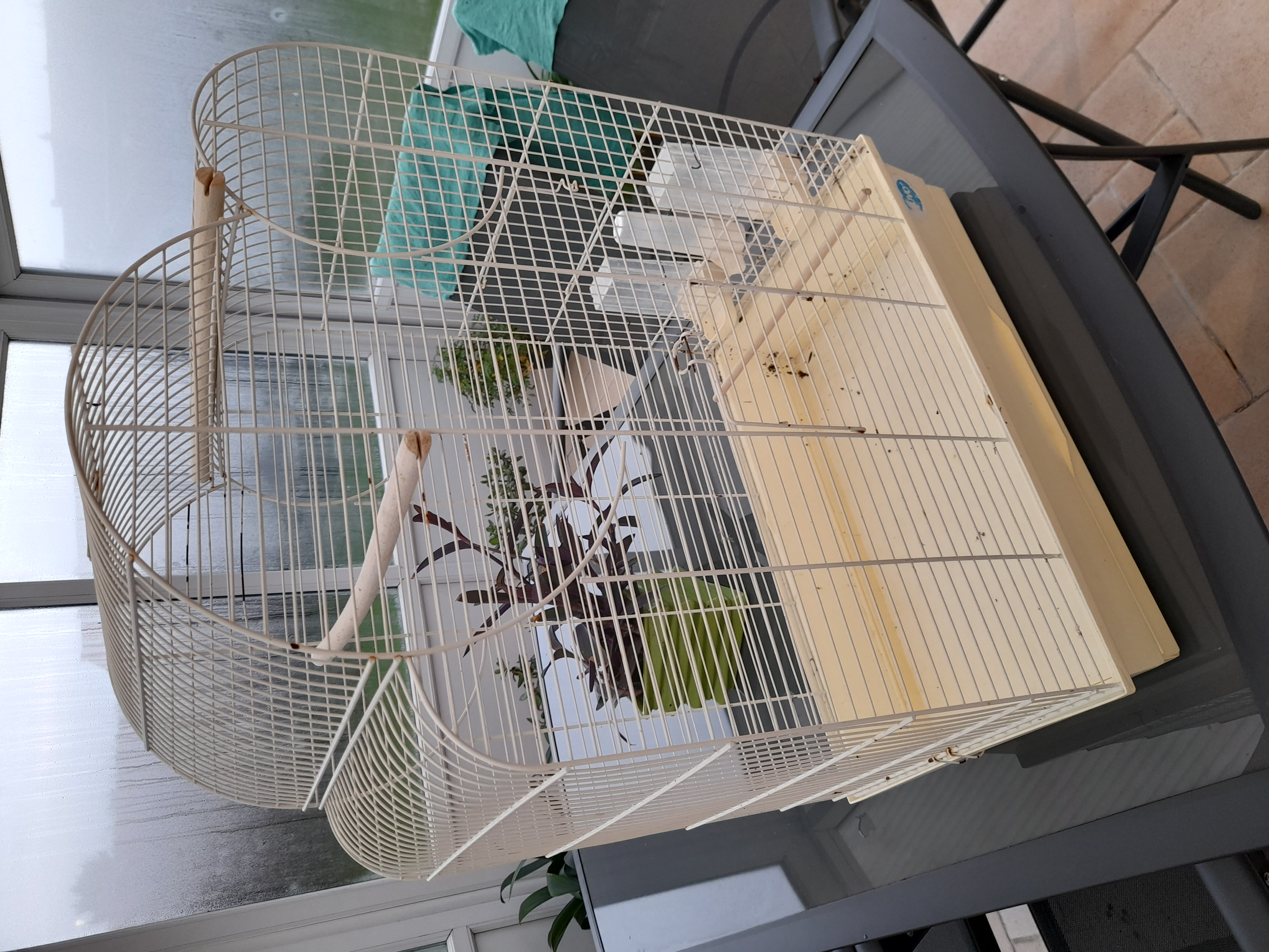 A VENDRE VOLIERE   80  EUR  PLUS pt CAGE en kd  ET 20 KG DE SABLE