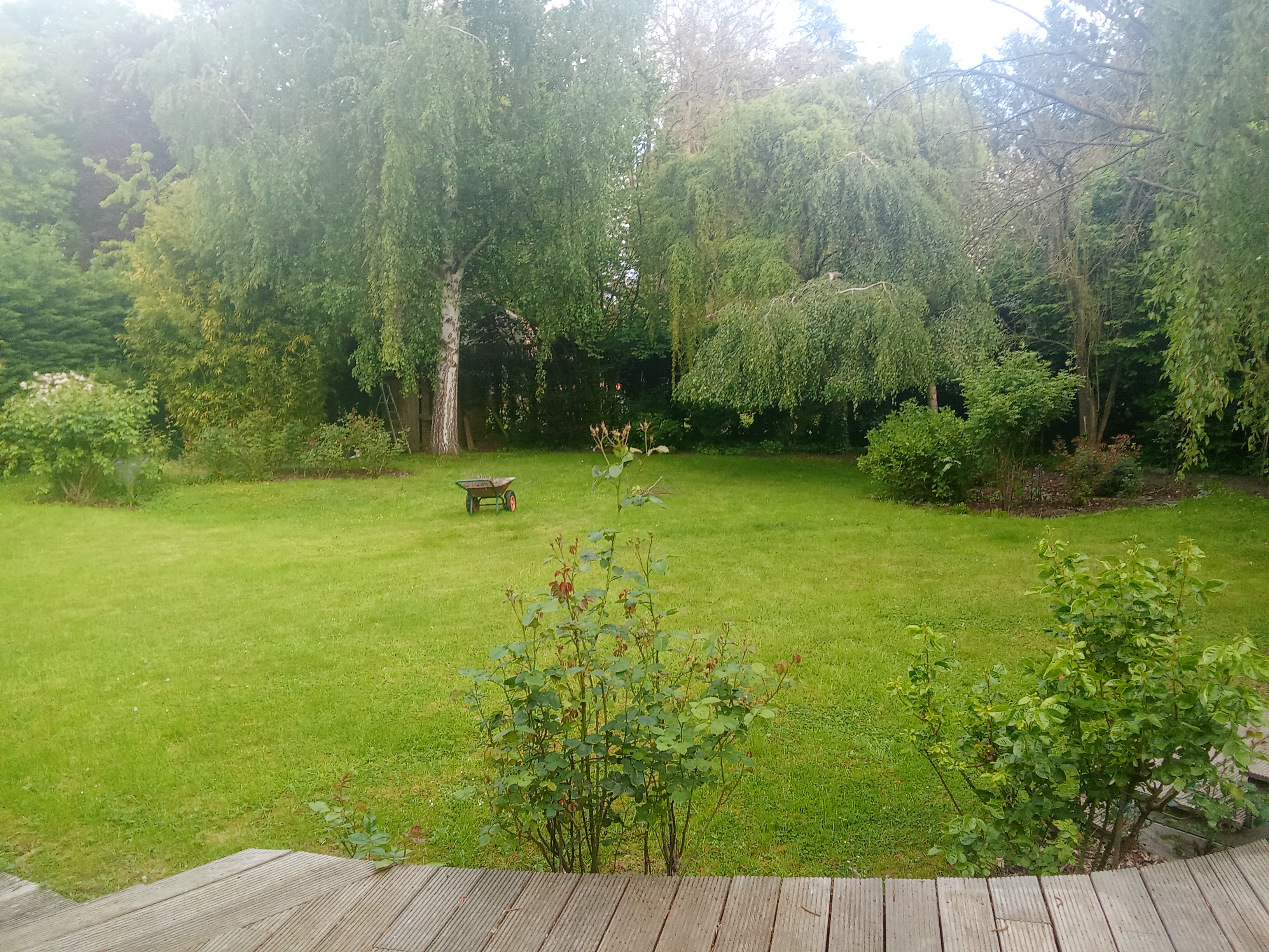 Jardinière expérimentée 