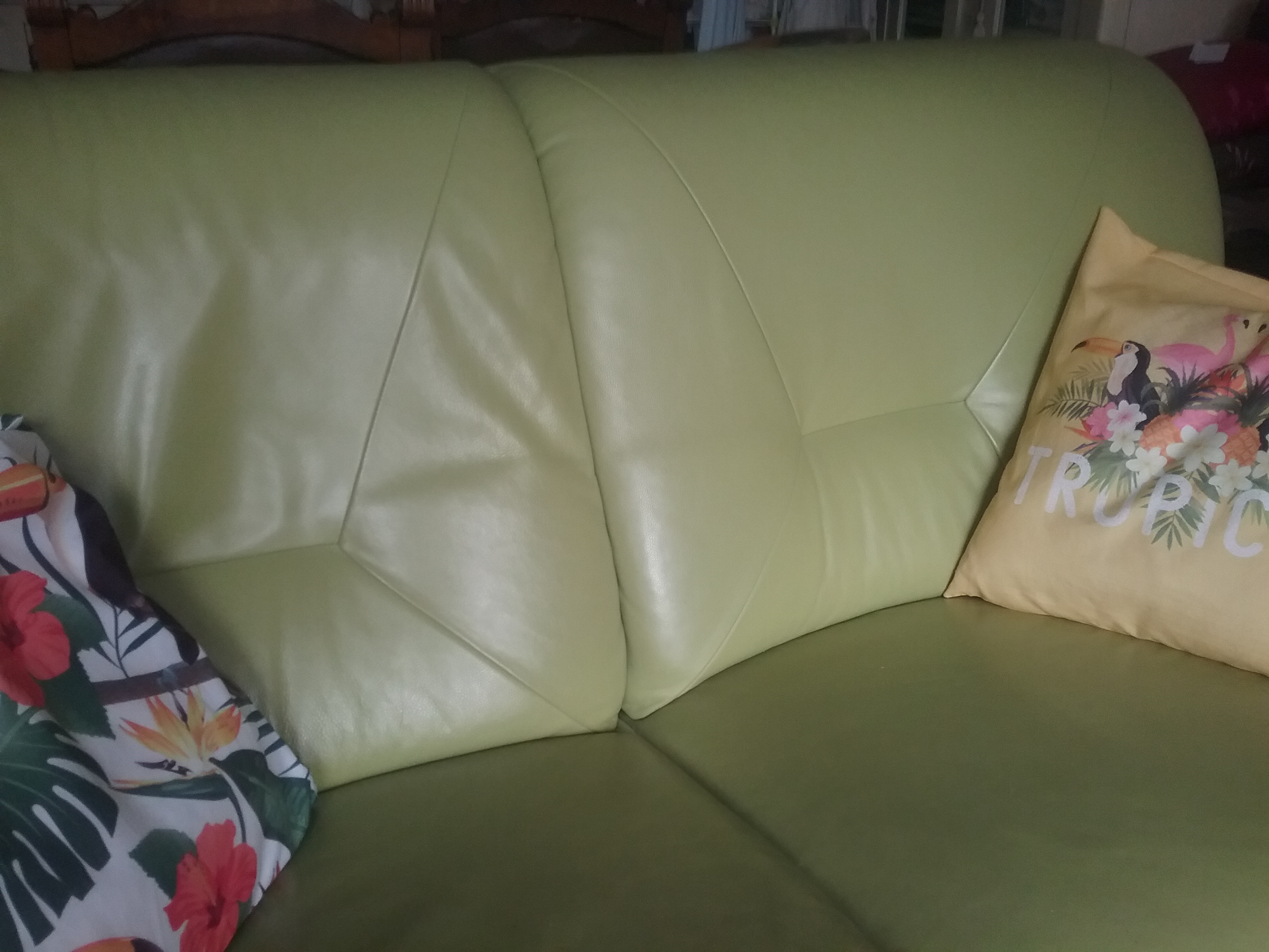 CANAPE CUIR ALLEMAND COLORIS VERT CLAIR