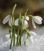 SOUTIEN SCOLAIRE  pour enfants de 6 à 14 ans.